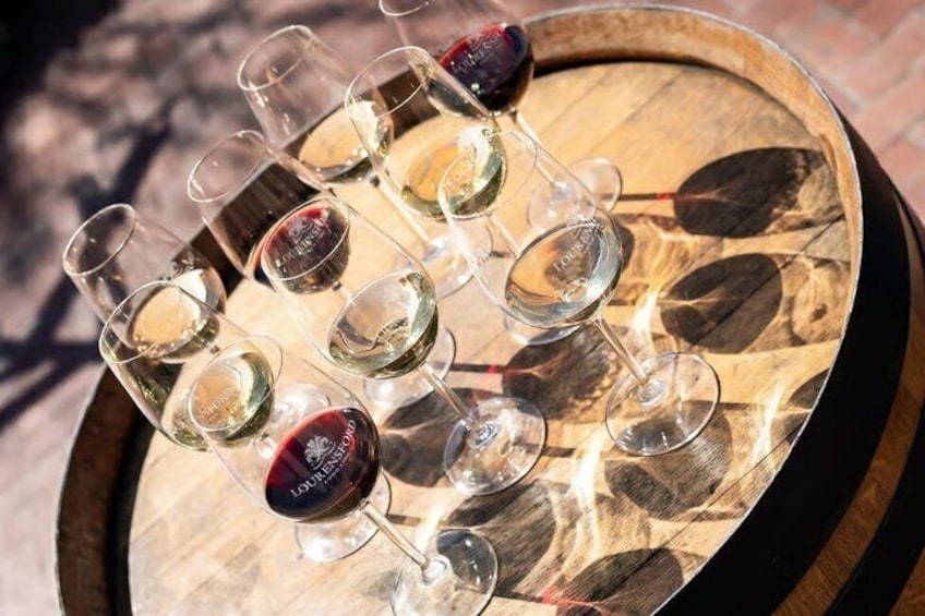 Cape Winelands with Clay Shooting and Wine Tasting plus Lunch 3