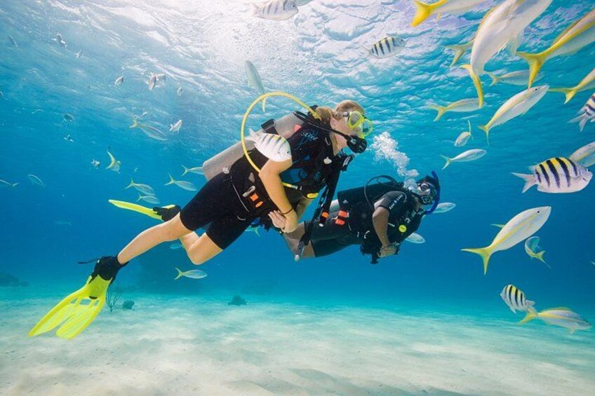 Two scuba divers underwater with a school of fish around them. 3