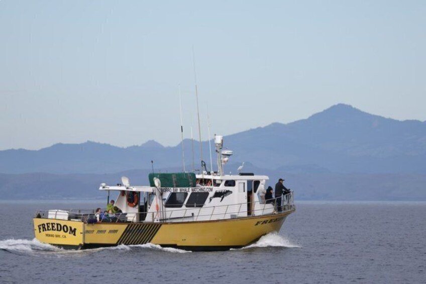 The Freedom - Our main Whale Watching vessel 2
