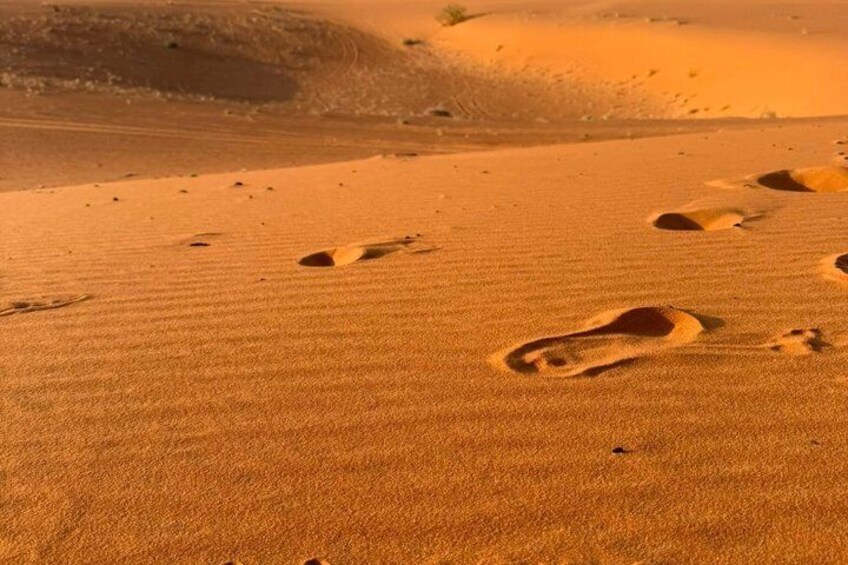 A desert landscape with footprints in the sand. 3