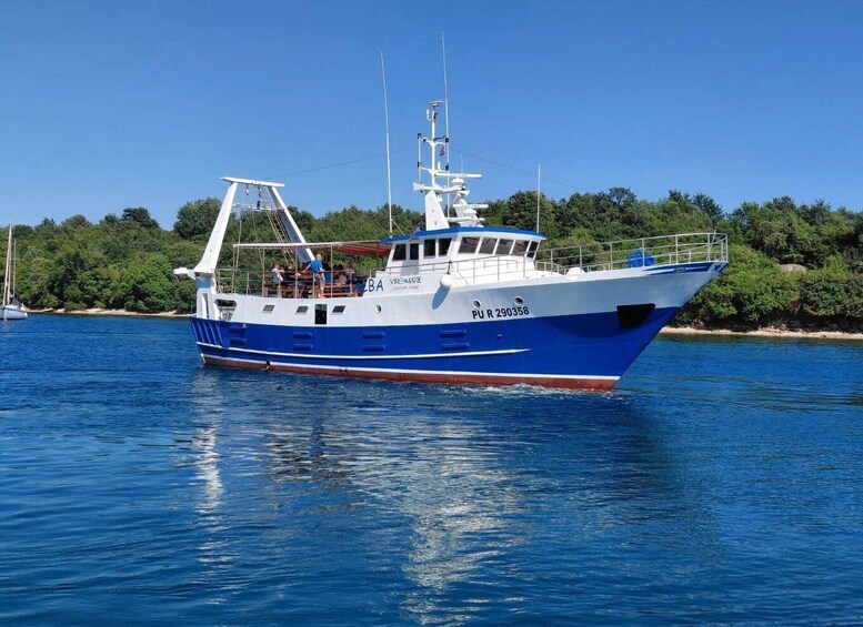 Vabriga: Adriatic Sea Sunset Cruise with Dolphin Watching 1