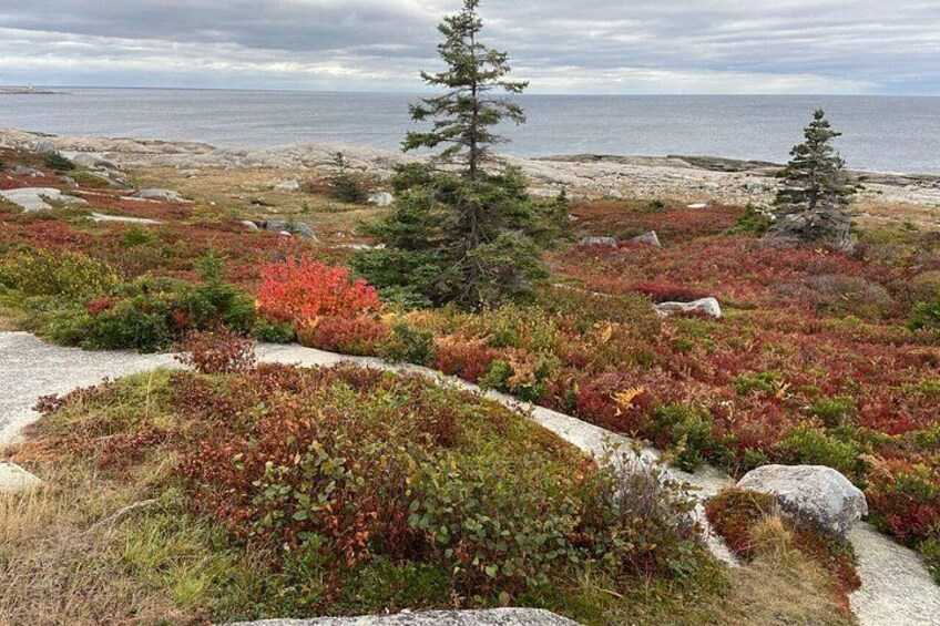 Private Tour Lunenburg UNESCO Heritage and Mahone Bay Experience 2