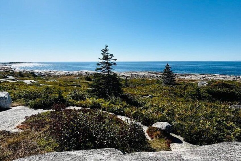 Peggys Cove Private Tour with Van 2