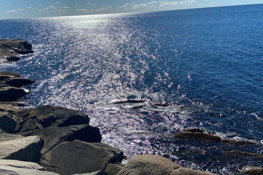 Peggys Cove Private Tour with Van 4