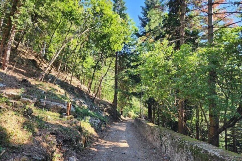Escape Milan Corni di Canzo Easy Hike Tour 2