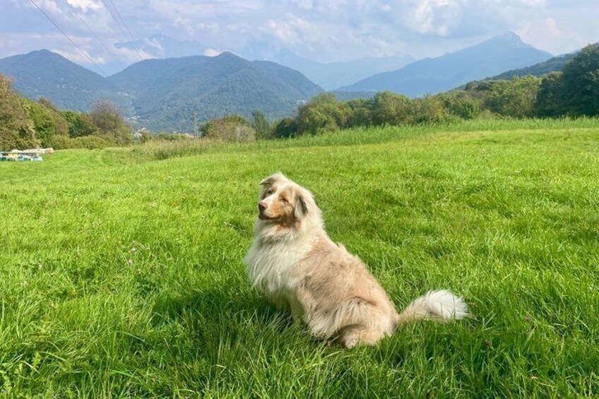 Escape Milan Corni di Canzo Easy Hike Tour 1