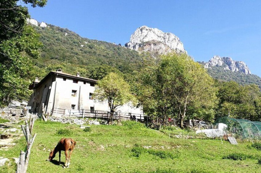 Escape Milan Corni di Canzo Easy Hike Tour 3
