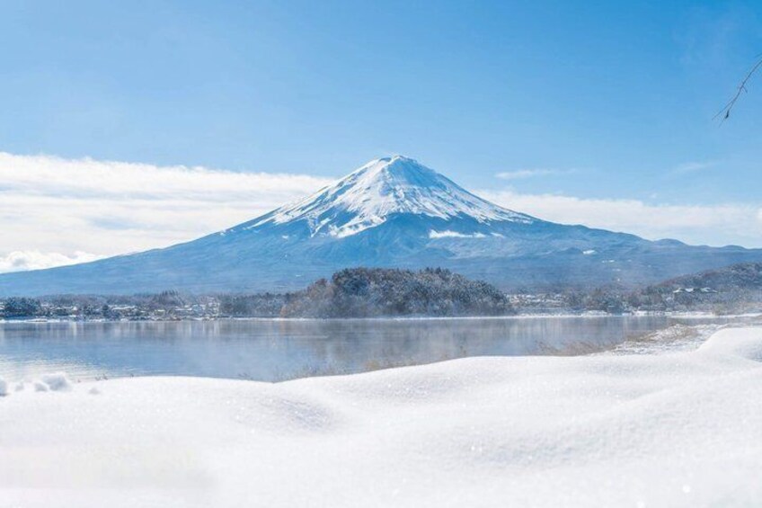 Mt. Fuji Kawaguchiko View and Tenjo yama Park Tour 3