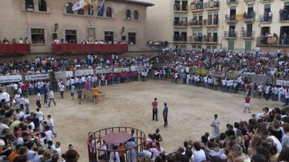 Picture 3 for Activity Cardona: Castle, Medieval Town & Hidden Legends Audio Tour 3