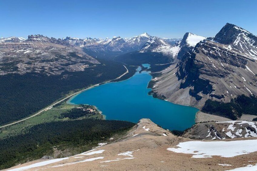 Icefields Parkway | Peyto Lake | Glacier | Wildlife VIP Adventure 5