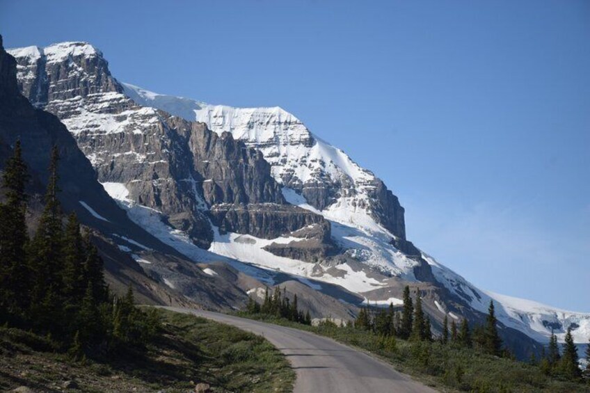 Icefields Parkway | Peyto Lake | Glacier | Wildlife VIP Adventure 4