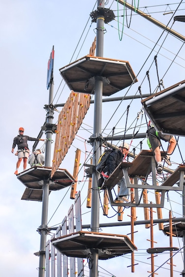 Auckland: Wero Climb Adventure Course 2