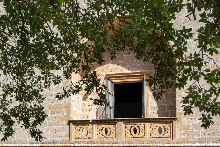 Picture 39 for Activity Salento: Yoga and Wine Tasting at Villa Neviera 2