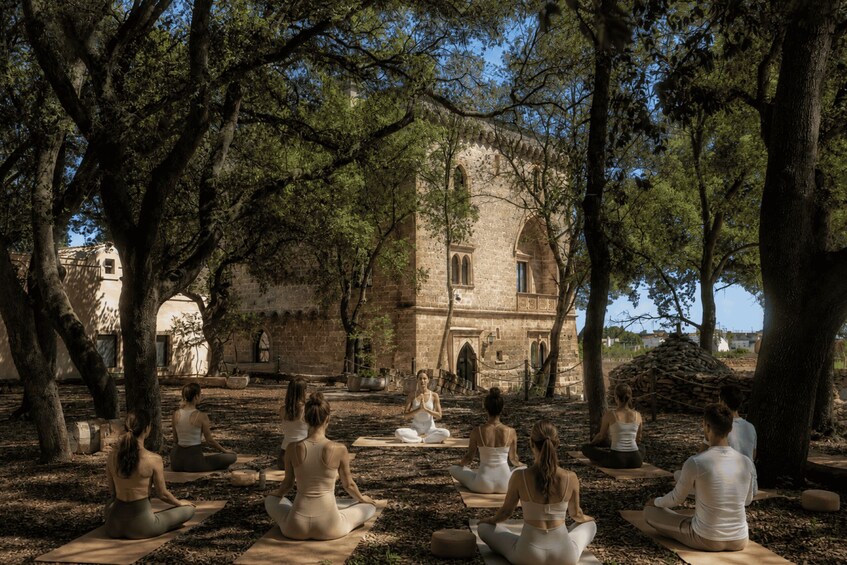 A group of people meditating in a park with trees and a historic building in the background. 2