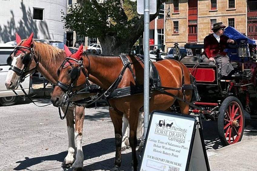 Two horses with red manes and bridles, a carriage, and a sign indicating a horse-drawn carriage tour. 4