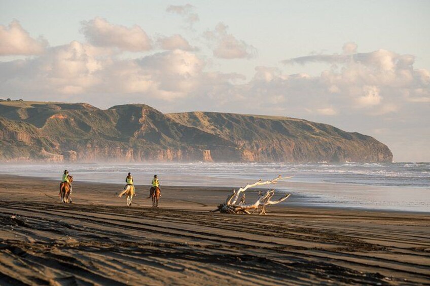 A beach with three riders on horses, a fallen tree, and cliffs in the background. 4