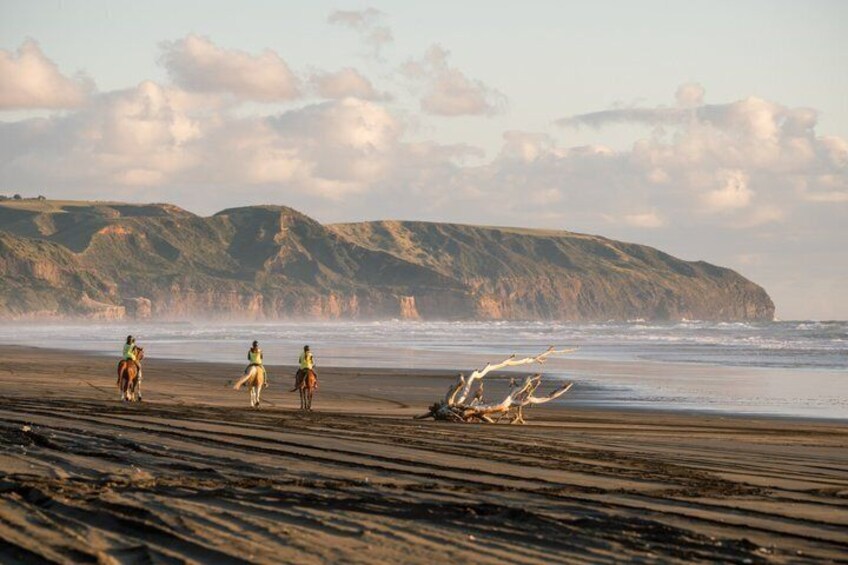 2 Hours Horse Trek Experience in Muriwai Beach 4