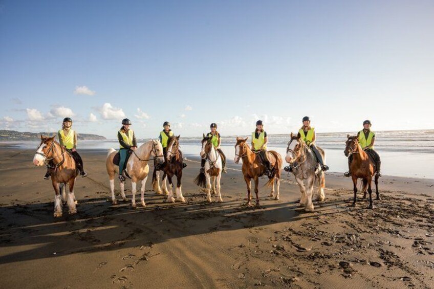 2 Hours Horse Trek Experience in Muriwai Beach 5