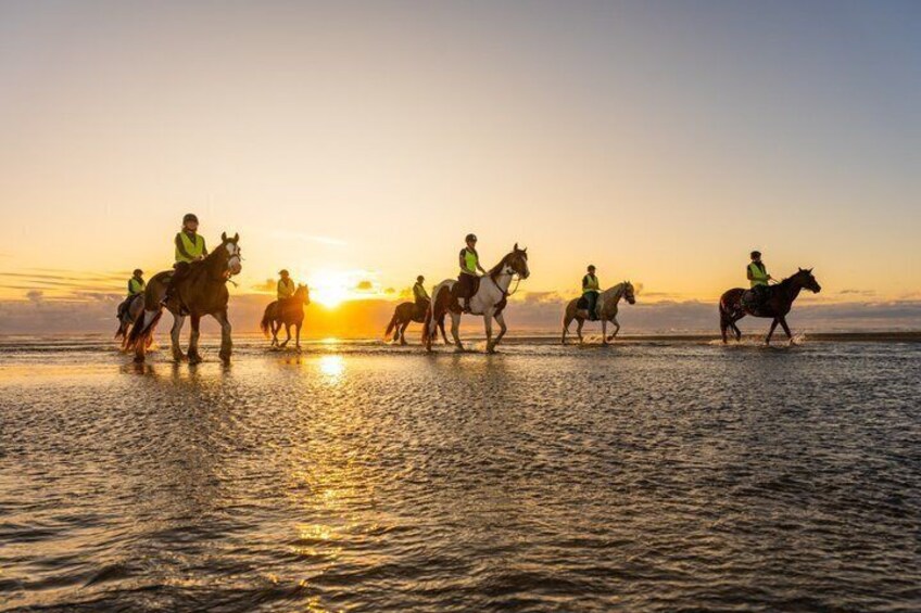 2 Hours Horse Trek Experience in Muriwai Beach 1