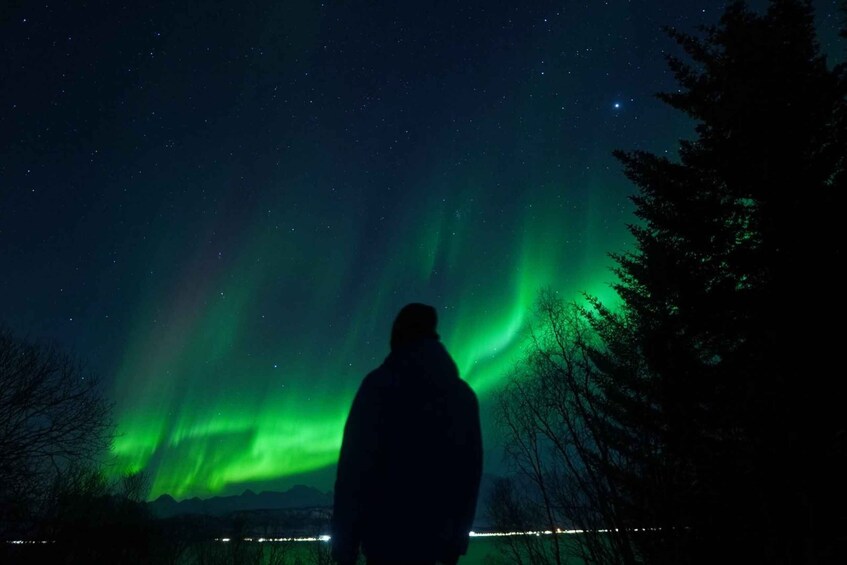 A person silhouetted against a night sky with the aurora borealis. 4
