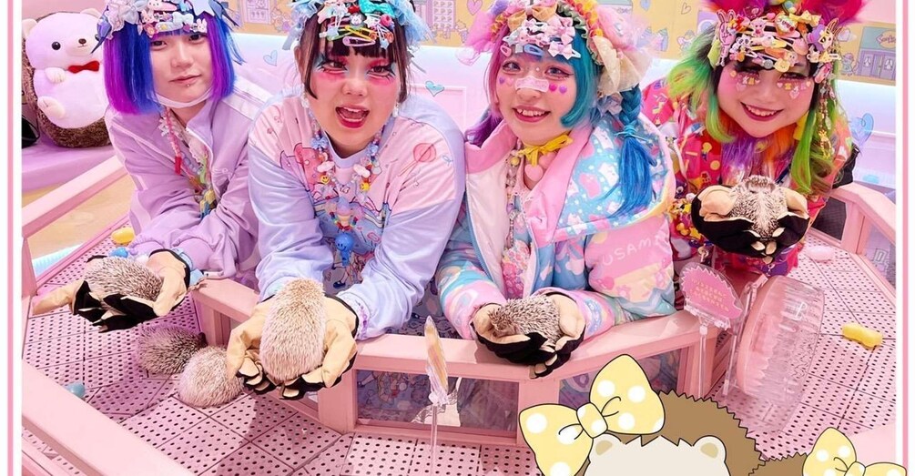 Picture 4 for Activity Tokyo: Harajuku Kawaii Animal Petting Zoo Experience 5