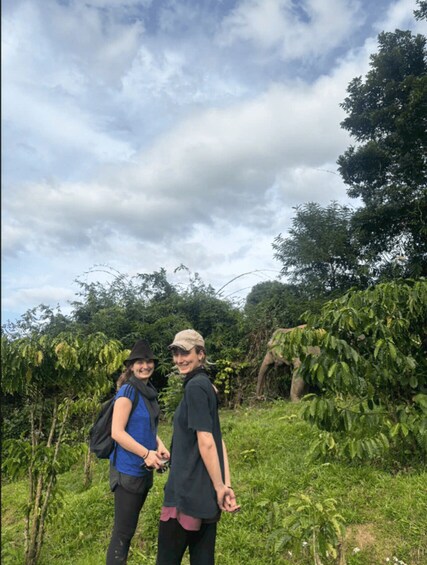 Picture 30 for Activity Đắk Lắk: Following the Elephant Trail 5