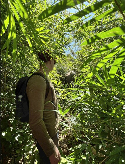 Picture 31 for Activity Đắk Lắk: Following the Elephant Trail 2