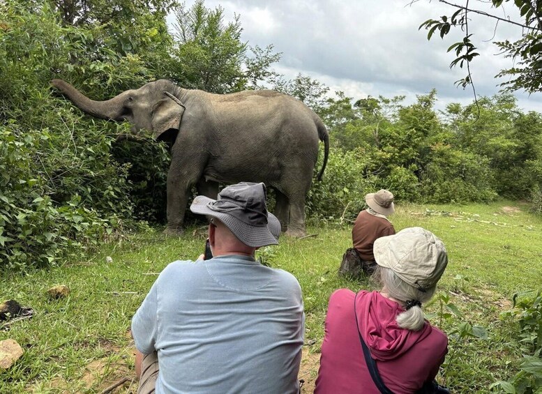 Đắk Lắk: Following the Elephant Trail 1