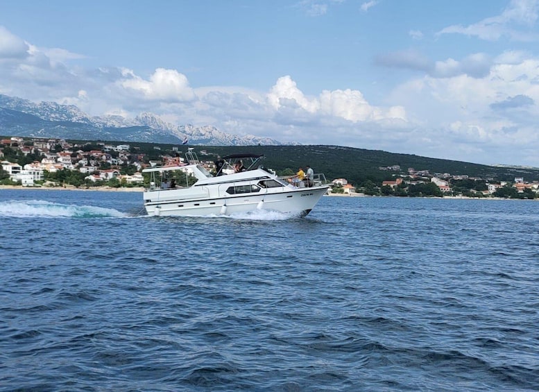 Picture 17 for Activity Novigrad: Zrmanja Canyon Boat Tour with Lunch & Swim 5