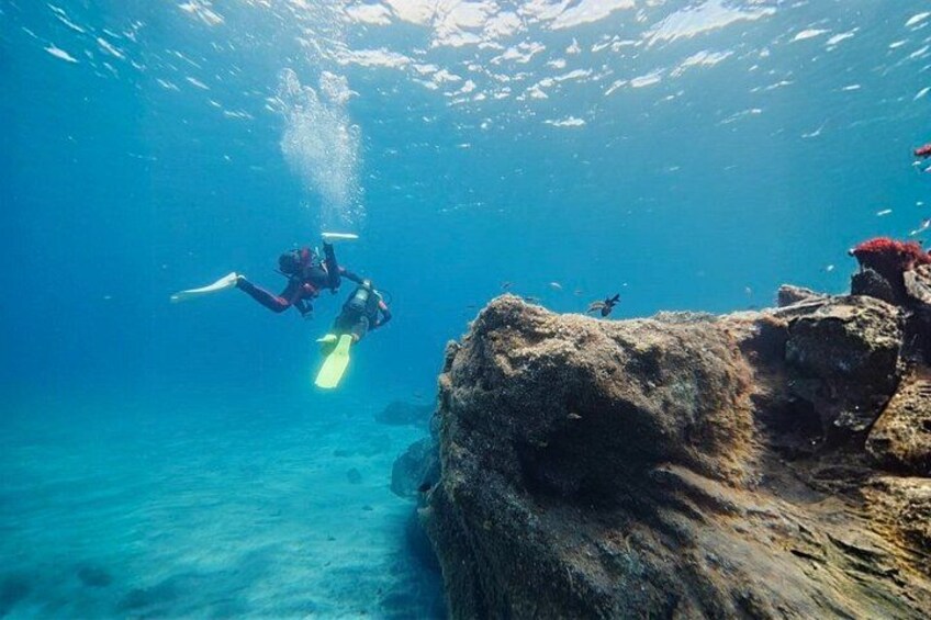 A diver with a yellow fin swimming near a rocky underwater landscape. 3