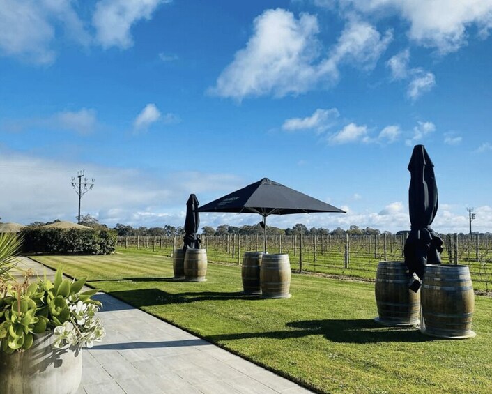 Picture 5 for Activity Coonawarra: Full-Day Private Group Luxury Wine Tour 2