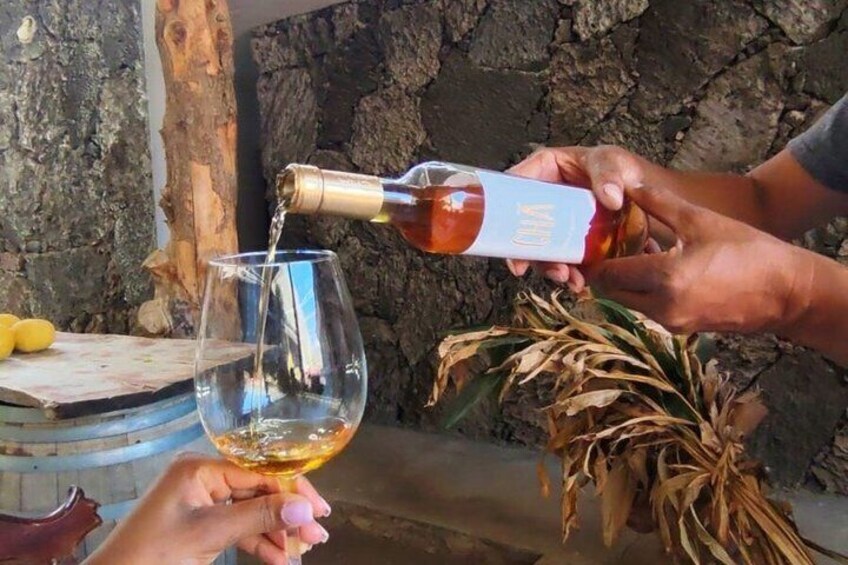 Tasting between Vineyards and Lava 4
