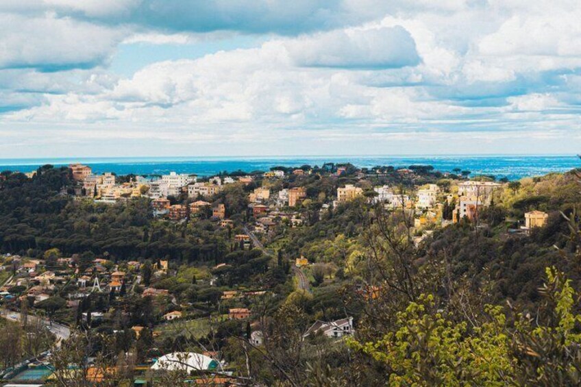 A coastal town with buildings, trees, and a view of the sea. 4
