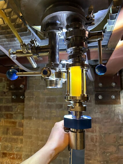 Picture 4 for Activity Middelburg: Brewery Tour and Beer Tasting 2