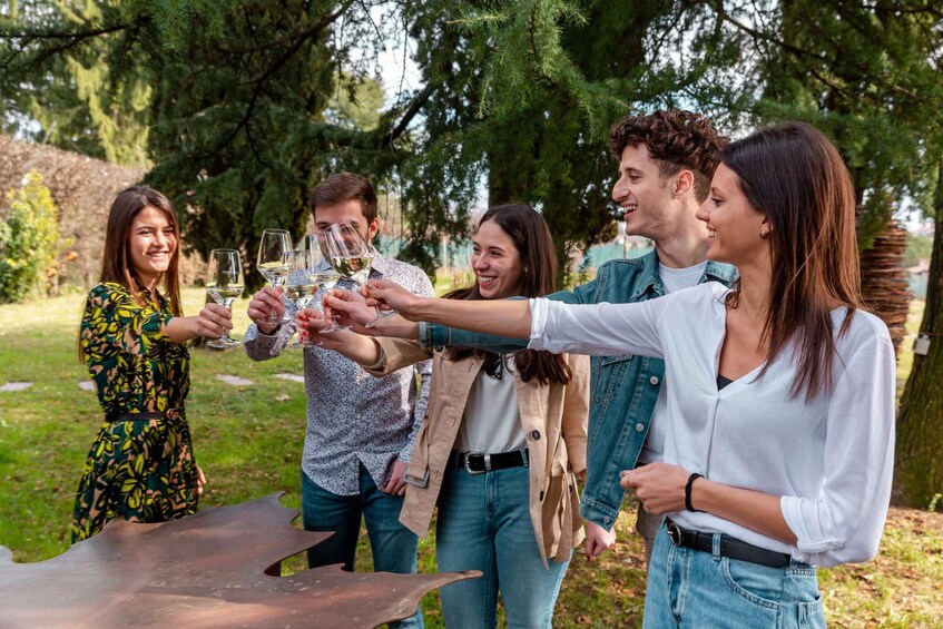 A group of people toasting with wine glasses outdoors. 1