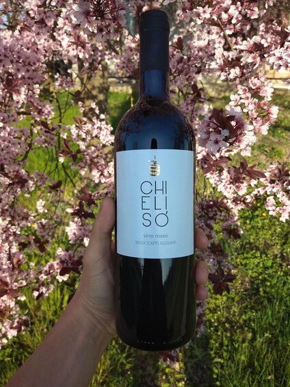 Picture 4 for Activity From the vineyard to the glass: Chielisò experience 2