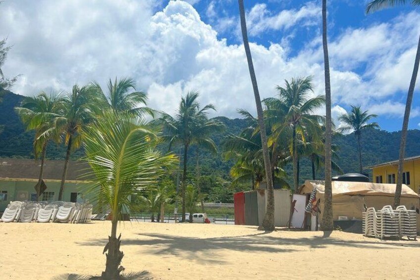 Ein sandiger Strand mit Palmen und einem Berg im Hintergrund. 3