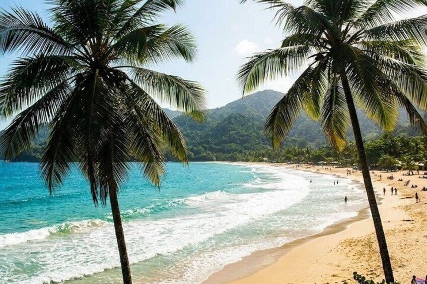 A beach with palm trees, ocean waves, and a mountainous background. 1
