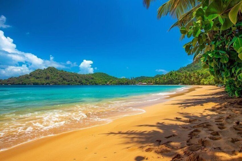 A beach with clear turquoise water, sandy shore, and a lush green hill in the background. 3
