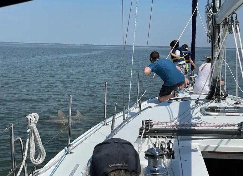 A sailboat with people on deck, a rope, and a shark in the water. 3