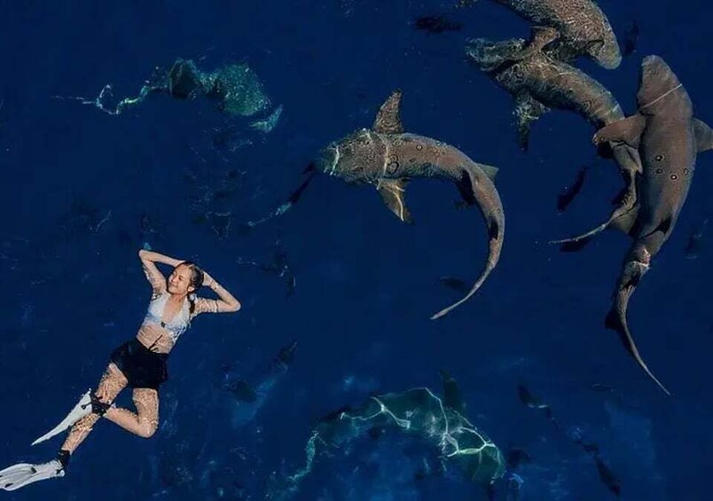 Maafushi: Maldives Shipwreck & Nurse Shark Snorkeling Tour 1