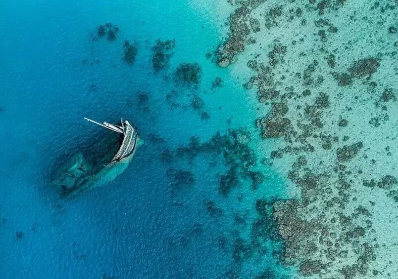 Picture 6 for Activity Maafushi: Maldives Shipwreck & Nurse Shark Snorkeling Tour 4