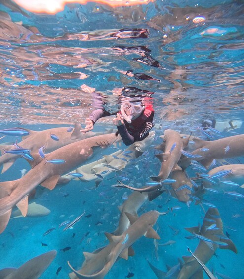 Picture 11 for Activity Malé: Nurse Shark Maldives & Fulidhoo Stingray Tour 2