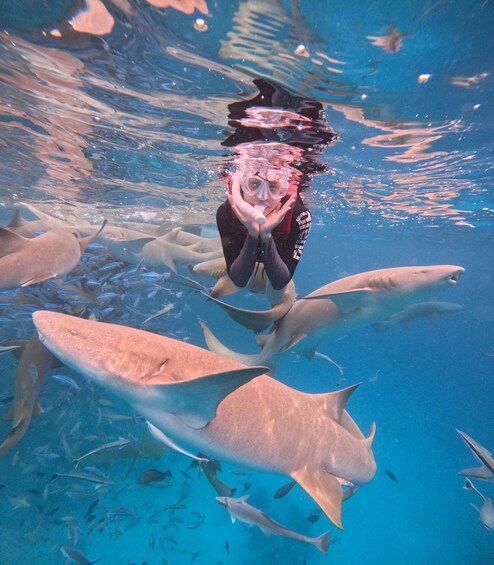 Malé: Nurse Shark Maldives & Fulidhoo Stingray Tour 1