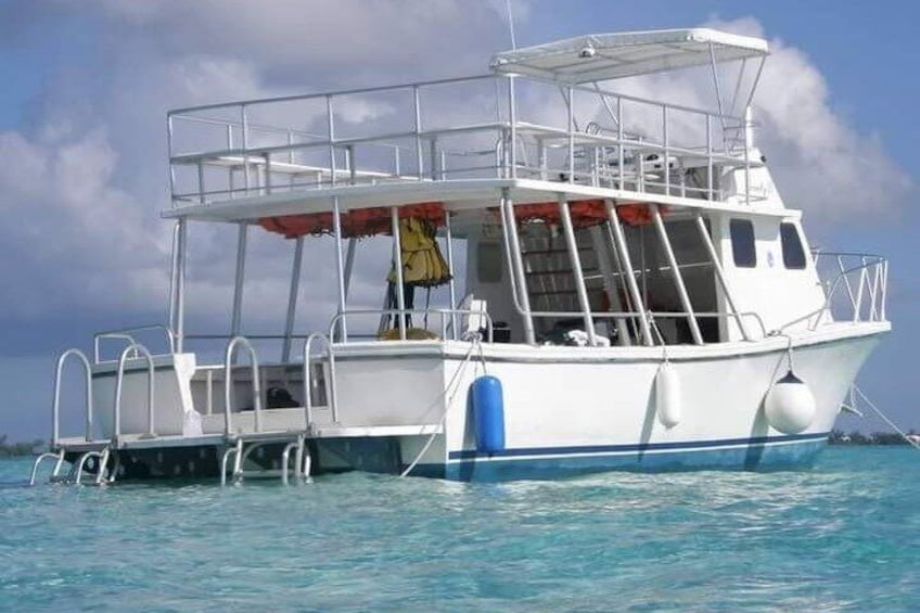 Explore Cayman Islands with Swimming Activities 1