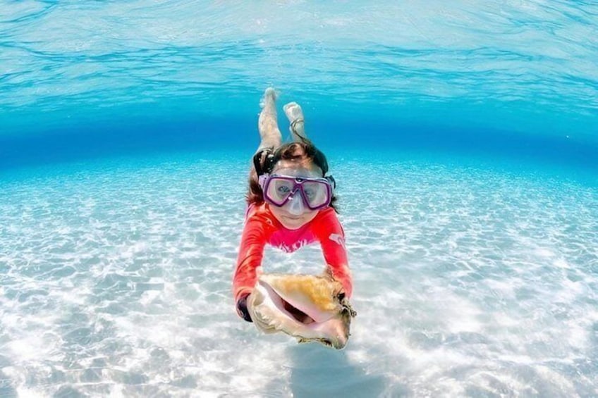 Explore Cayman Islands with Swimming Activities 5