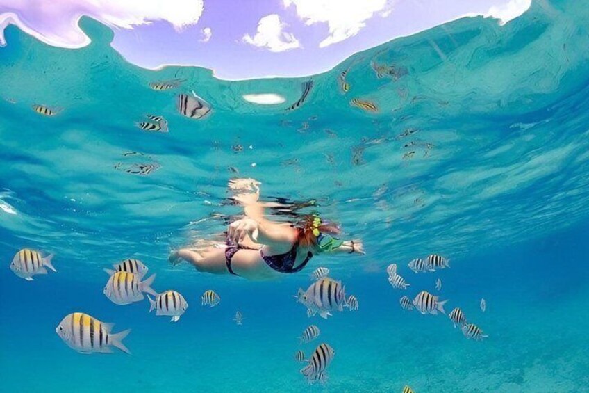 Explore Cayman Islands with Swimming Activities 4