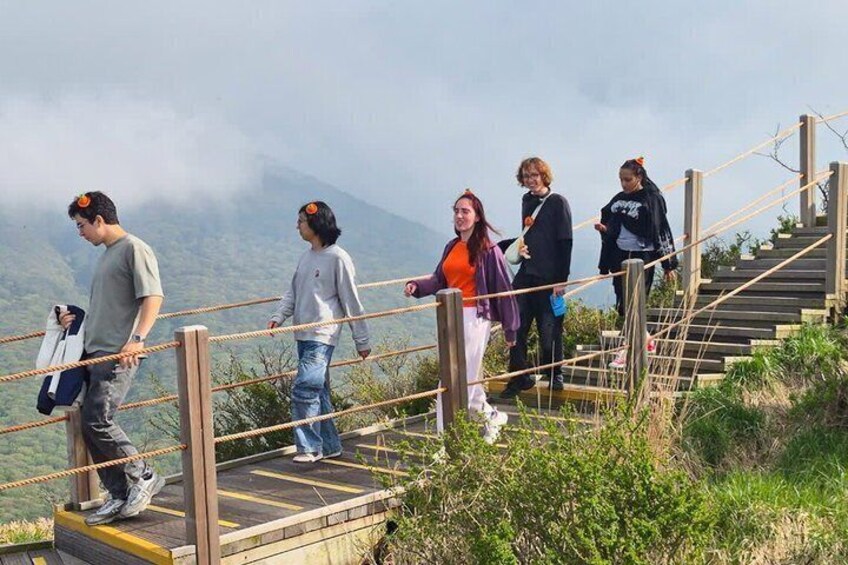 Jeju Natural Wonders Hallasan Tea Gardens and WaterFalls 3