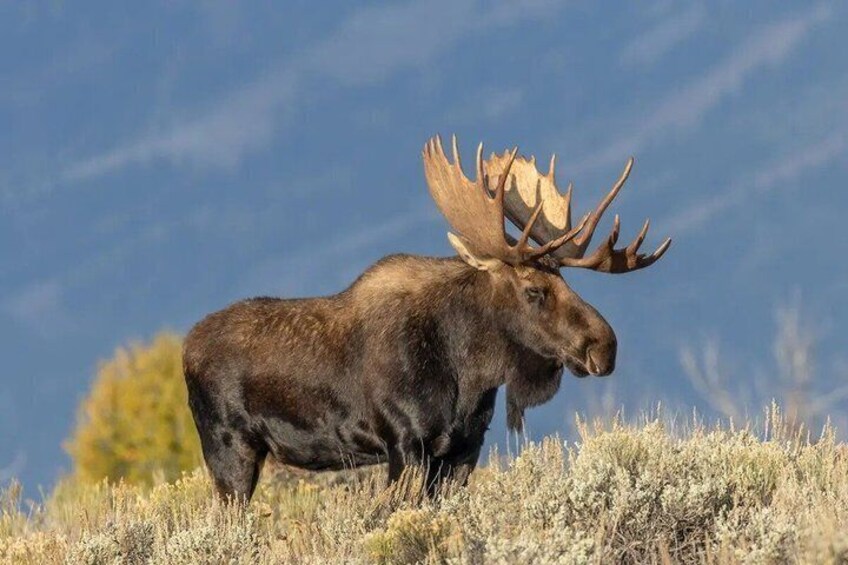 Grand Teton National Park Tour 5