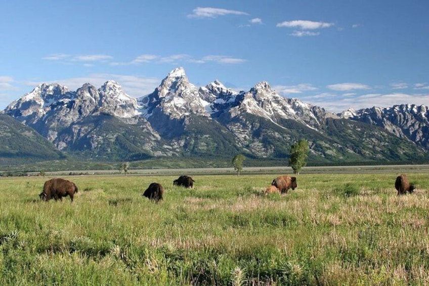 Grand Teton National Park Tour 3